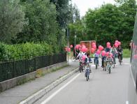 Don Daniele 2008 Immagine